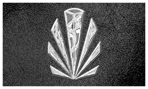 DNSEMP-C-602-SL-SH-BK Silver Sunburst Shimmer Black